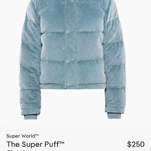 Brand new aritzia super puff jacket